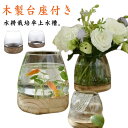 金魚鉢 おしゃれ 木製台座付き 金魚 メダカ 水槽 ミニ水槽 金魚水槽 ガラス花瓶 木製ベース付きデスクトップ水槽 観賞植物ホルダー 水耕植物花瓶 小シンク お...