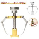 3個組 巻き爪 矯正器 巻き爪 矯正 サポート 器具 ネイルケア ツール 痛い巻き爪 陥入爪 巻爪 対策 ネイル セルフケア 巻き爪クリップ 矯正器 介護 グッ...