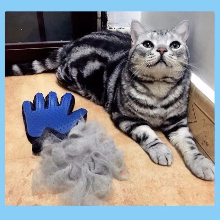 ���롼�ߥ󥰥������� �� ǭ �� ���롼�ߥ� �������� ���� (����2����) �ޥå������������� ȴ���� �֥饷�ɻ� �ڥå� �������� �������� ȴ���� �ȥ�ߥ� �Ӷ̼�� �ޥå����� �ڥå��ѥ֥饷 ξ�� ���� ���� ����̵��