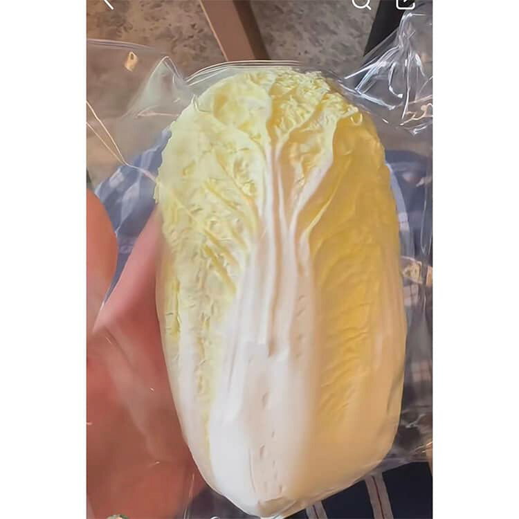 大サイズ 白菜 スクイーズおもちゃ 水感スクイーズ スクイーズ 野菜型 伸縮性のあ...