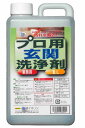 【あす楽対応商品！】 プロ用玄関洗浄剤 1000ml 【 洗浄剤 玄関 カビ防止 汚れ除去 掃除 隙間 便利 使いやすい 】