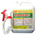 【あす楽対応商品！】 コケカビ取り 4L 【 スプレー コケそうじ コケ 苔取り カビ取り カビ掃除 お墓 玄関 タイル 屋上 お庭 ガーデニング 屋外用 】