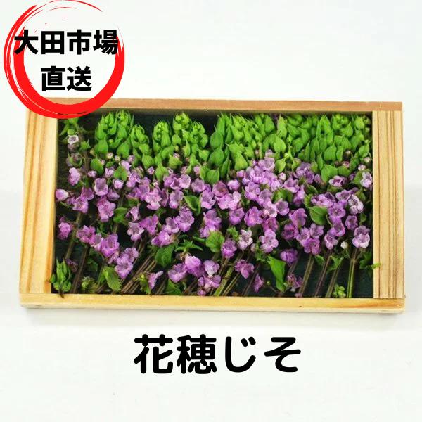 愛知県 10g程度小さな花を付けたまま切り取った香辛野菜。お刺身のつまや飾りなどによく使われますが、天ぷらやサラダにもお使い頂けます。花穂じそ　愛知県産　約18本入 つまやあしらい、吸い口に 8