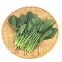 群馬県 栃木県他 1袋お鍋からソテーまで幅広く使えるほうれん草。美味しいだけでなく、鉄・葉酸・ビタミンCが豊富で栄養価が高く、貧血改善にも役立ちます。