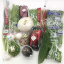 【担当者オススメ】\セール期間中20%OFF/京都府(京のブランド産品含む)・沖縄県(滋賀県・兵庫県)産野菜10品以上のセット【送料無料】野菜詰め合せ 野菜 詰合せ 京野菜 沖縄野菜 詰め合わせ 大谷翔三MVP受賞記念!冬ギフト お歳暮 おせち