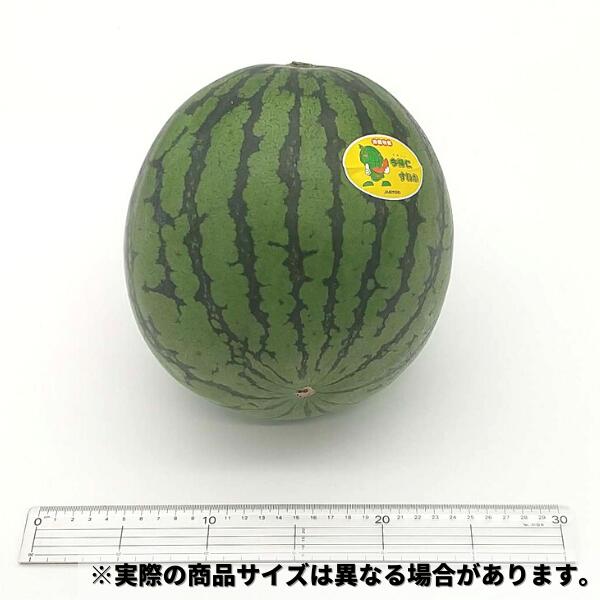 沖縄産スイカ(すいか・西瓜)個売り