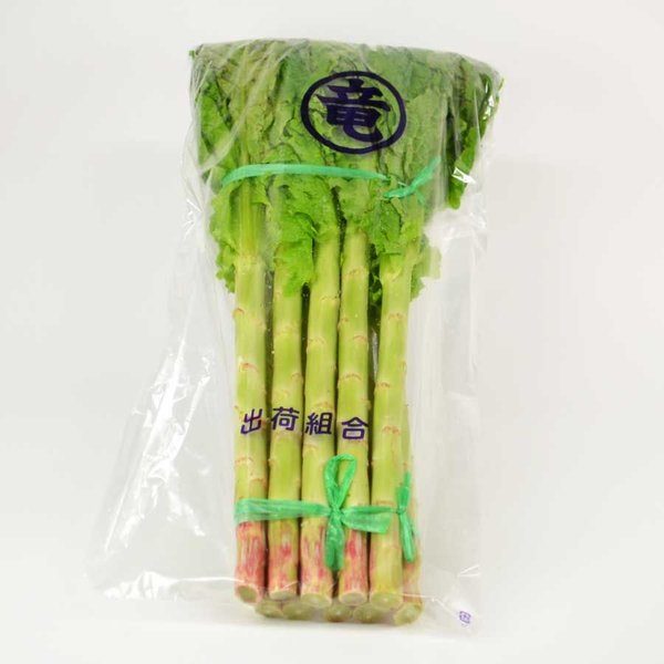 千社唐(ちしゃとう)