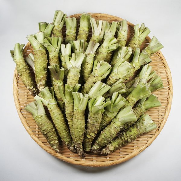 わさび(中) 2k箱 30-40本入り