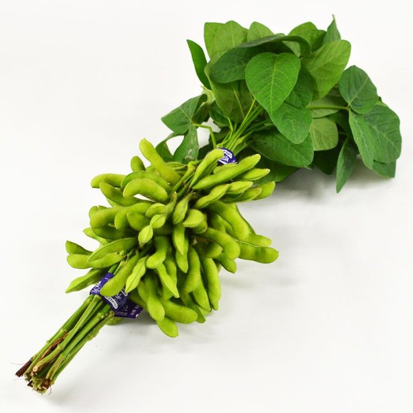 葉付き枝豆