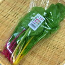 千葉県産　他 100g色々なビエトラをミックスで販売致します。