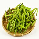 枝豆(千葉) 約300g入