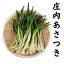 庄内あさつき PC売り 100g程度 山形 国産 酢味噌和え 炒め物 和え物 1,040円