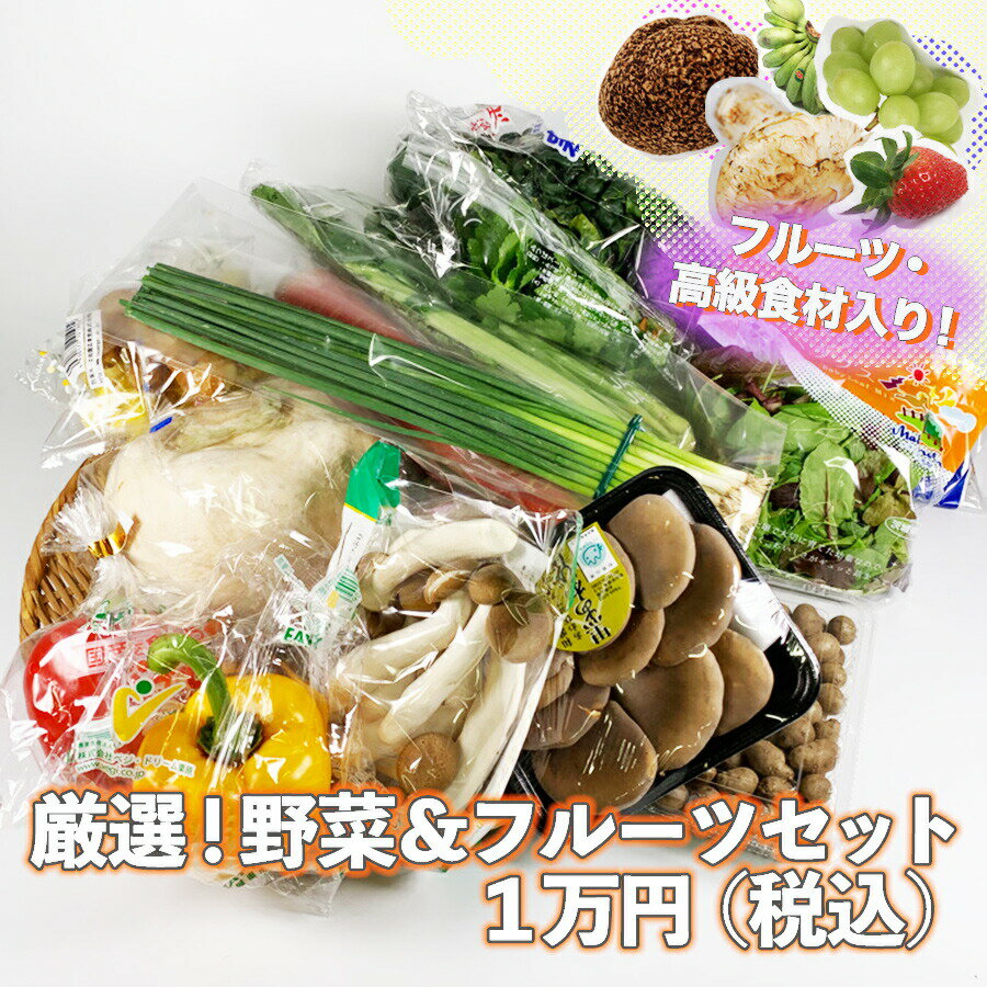 【送料無料】厳選されたおまかせ野菜とフルーツのセット 詰め合わせ 15品程度 【大田市場直送】旬の高..