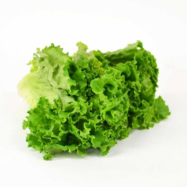 グリーンカール（グリーンリーフ）のサムネイル