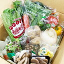 【定期購入】おまかせ野菜セット 野菜15品詰め合わせ 【本州・四国送料無料】野菜 定期便