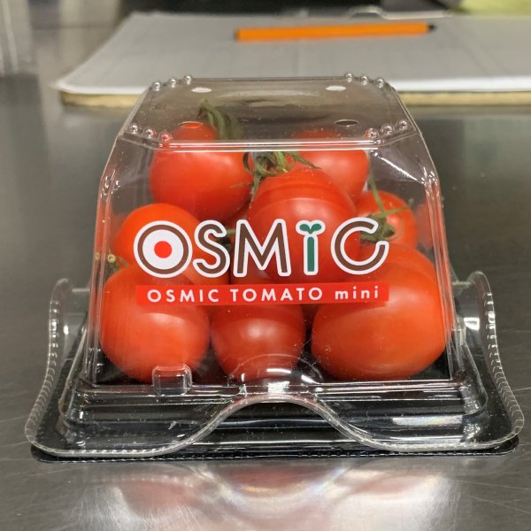 ڲС˽в١ۥߥåߥ˥ȥޥ OSMIC