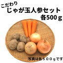 じゃが玉人参セット(各500g程度) 野菜セット 常備野菜 カレー・シチュー・肉じゃが等に