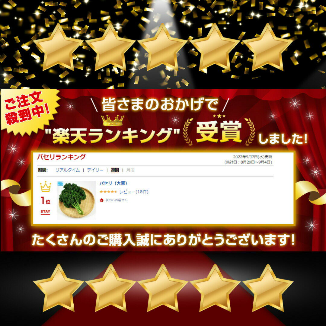 �ѥ������«��