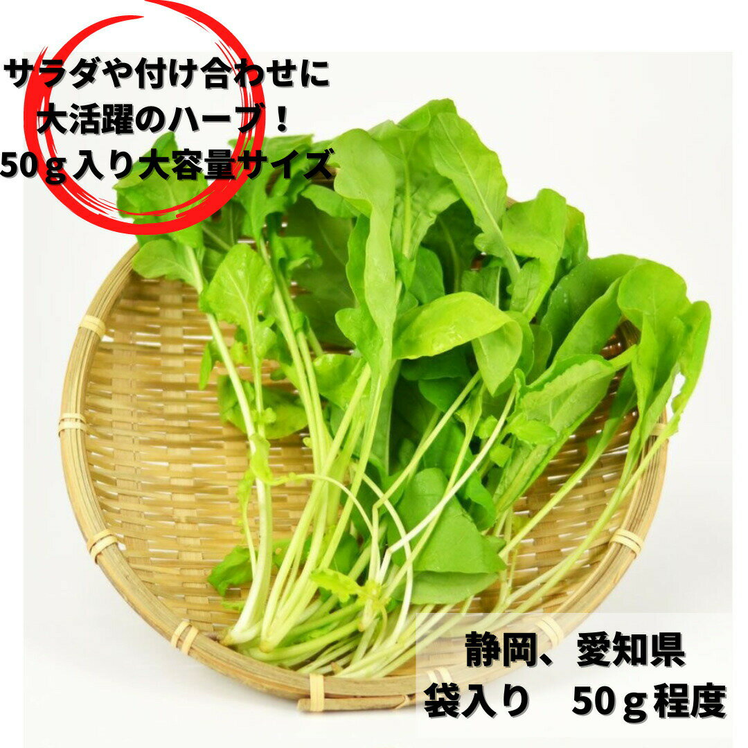 ロケットセルバチコ 1PAC （約50g）　【久保田農園　福岡産　あしらい　飾り　珍しい野菜　野菜　ハーブ】