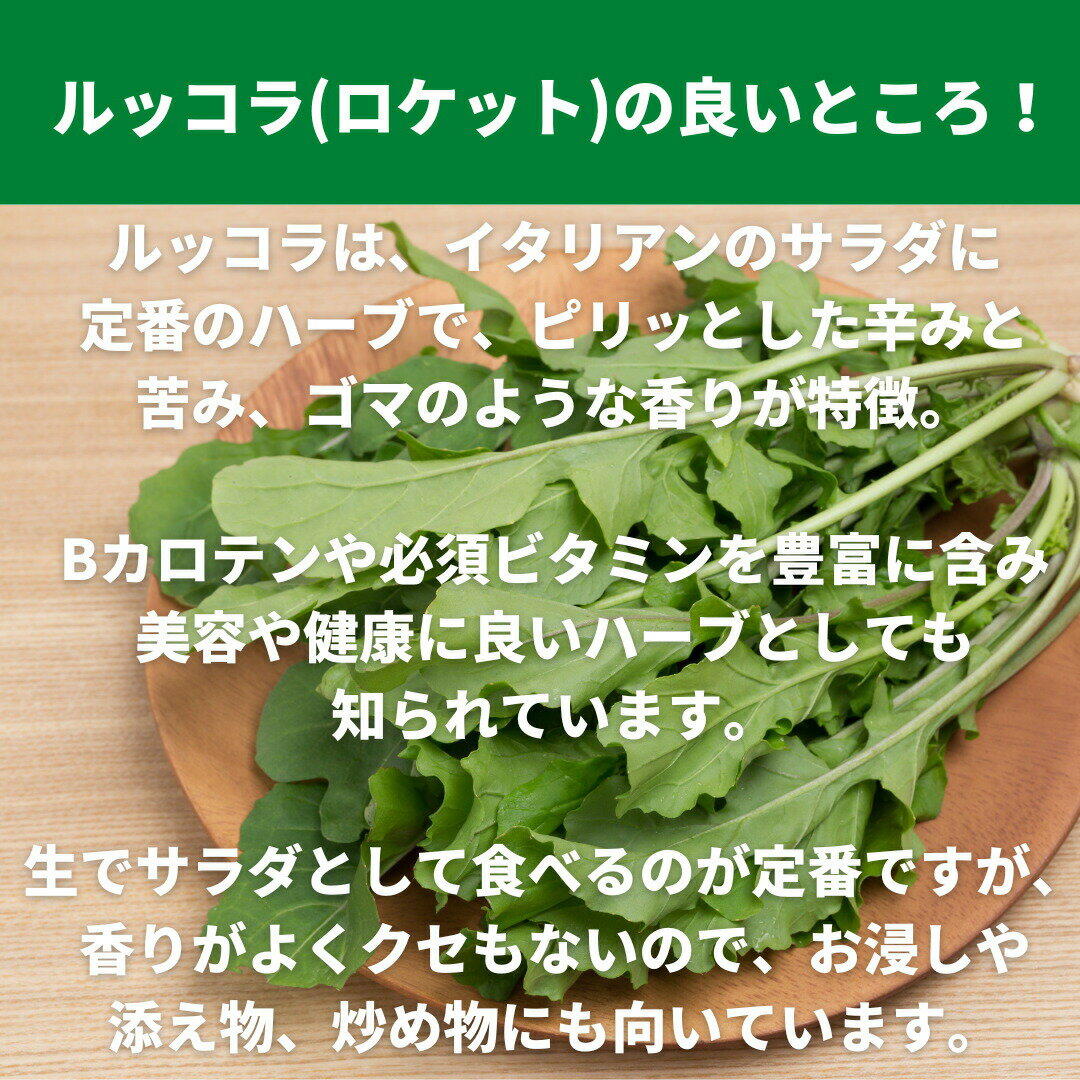 ��å���ʥ����åȡ�������