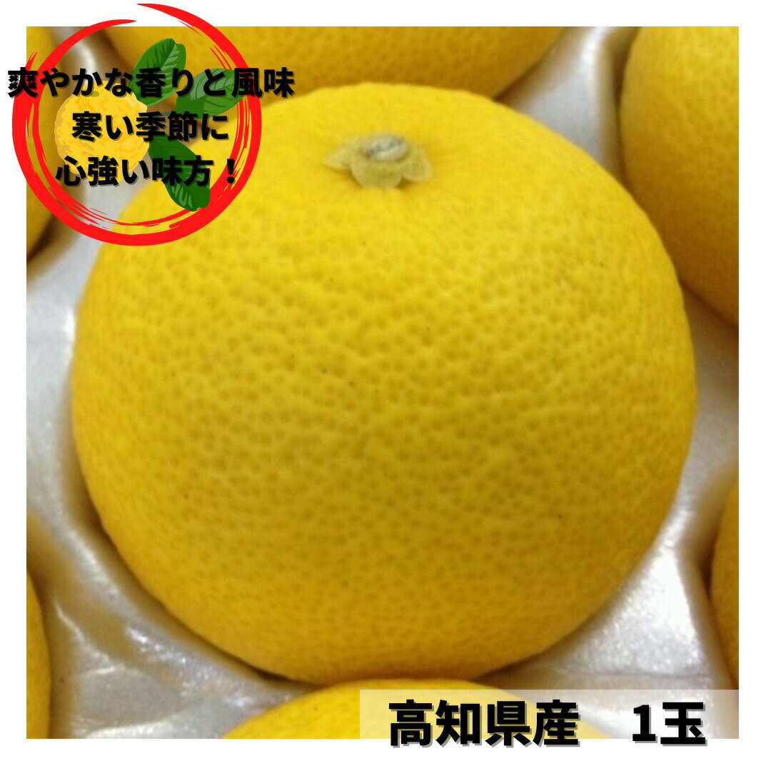 高知県産　1玉　9月中旬ごろ〜5月下旬頃果肉・果皮ともに栄養価が高く、独特な香り・風味を生かして、和食の引き立て役から冬至の「ゆず湯」など、幅広く利用されています。※入荷が不安定なため、お問い合わせ商品となります。黄柚子 （黄ゆず 黄ユズ）高知県産 1玉 栄養満点！冬至の必須アイテム 12