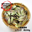 千葉県産250g葉は肉厚ですが、皮が薄いため、パリっとした食感とともに、みずみずしい爽やかなお味が楽しめます。栄養価も非常に優れているので、美容と健康に効果的です。グラパラリーフ 大 健康食材として大注目のお野菜 12