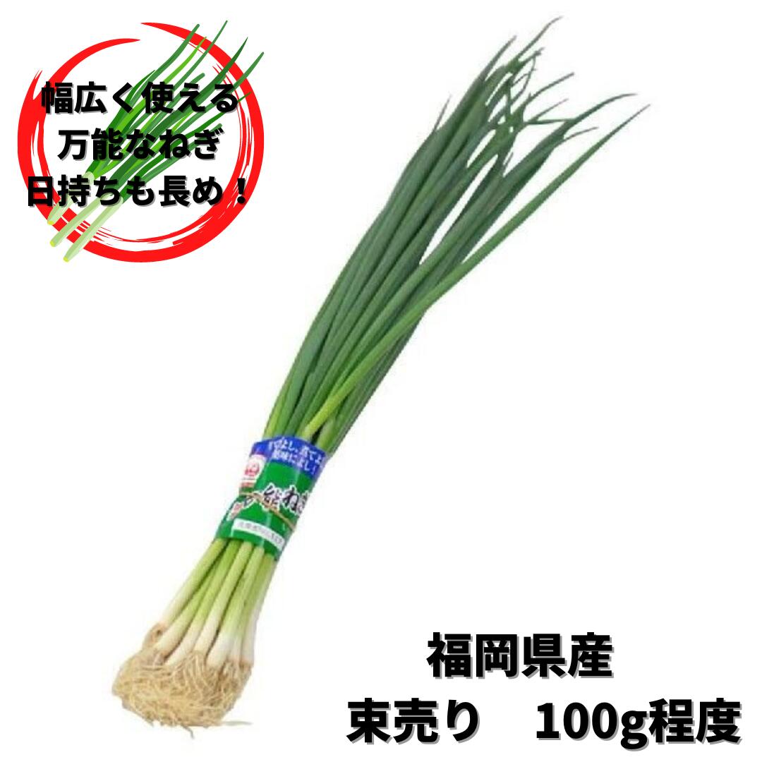 福岡県産　100g薬味や彩り、炒め物など色々な料理にご使用いただけます。万能ネギ 福岡県のブランドネギ 12