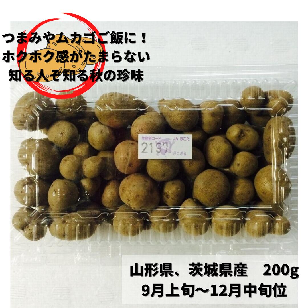 【秋の味覚 冬の味覚】むかご（零余子 ムカゴ）1pc 約200g入のサムネイル