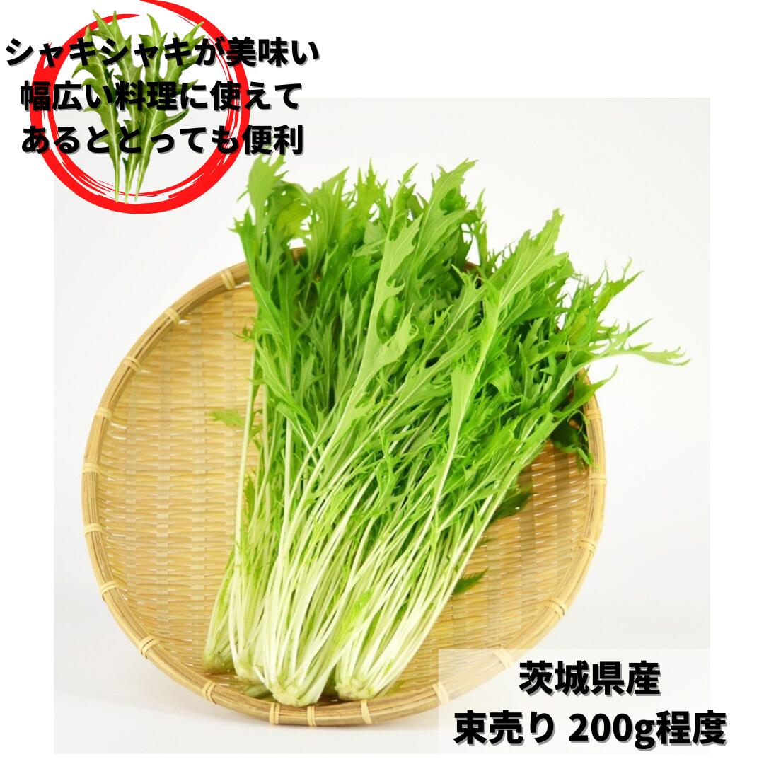 水菜 束売り 茨城 国産 200g程度 鍋野菜 煮物 炒め物 サラダ
