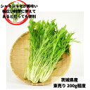 茨城県 1束 200g程度特有のシャキシャキ食感がたまらない水菜。京都の野菜として知られていましたが、現在では全国区で作られている定番お野菜です。サラダや鍋、漬物はもちろん、エスニックなどの料理にも幅広くお使い頂けます。水菜 サラダや鍋の具材に 12