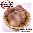 黒あわび茸 単品