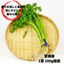 芹 根つき（せり）宮城県産 約100g束売り 国産 お浸し 鍋 和え物 和食 七草 芹鍋 せり鍋 仙台せり