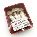 畑しめじ 約90g