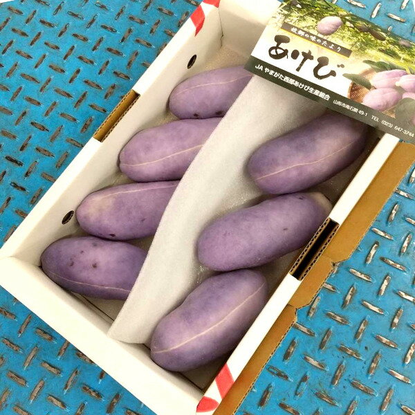 あけび（訳あり/B品）