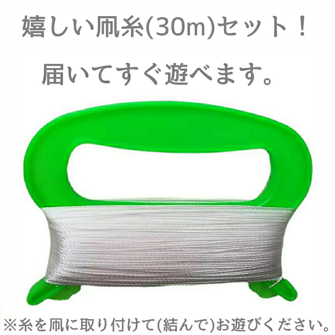 凧 くじら 鯨 骨なし 組み立て不要 カイト 可愛い 魚 凧揚げ 公園遊び おもちゃ 子供 大人 アウトドア ピクニック レジャー カラフル 2