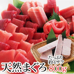 不揃いのごちそう天然マグロどっさり800g【中トロ入り】【まぐろ】【天然】【マグロ】《冷凍でお届けします。》【訳あり】【刺身】【送料無料】【冷凍サク】ごちそう 冷凍マグロ 訳あり 冷凍まぐろ 天然まぐろ 冷凍 マグロ 訳あり マグロ