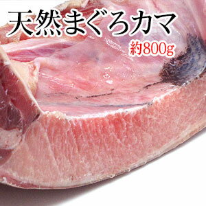 天然まぐろカマ 約800g【カマ約2〜3ケ・・・1ケの時もあります！】マグロ カマ 魚 カマ　バーベ ...