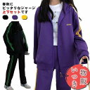 ジャージ レディース 秋 冬 春 上下 上下セット 長袖 ジップアップ パーカー パンツ 2点セット ジャージ上下 セットアップ サイドライン