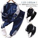 スウェット 通園 長袖 セットアップ 上下セット プルオーバー スウェットトレーナー 子供服 通学 キッズ 配色 韓国 パーカー ジュニア ジョガーパンツ 男の...