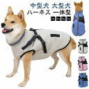 商品画像3