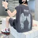 ボーイズ トップス 蛍光 天使の双翼 羽翼 プリント キッズダンス衣装 セットアップ ヒップホップ 衣装 子供服 男の子 tシャツ ベージュ グレー 半袖 パン...
