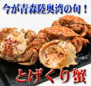 青森陸奥湾産トゲクリガニ【大サイ