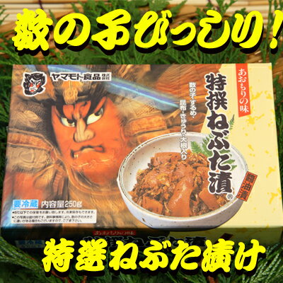 青森の特産品特選ねぶた漬け500g02P03