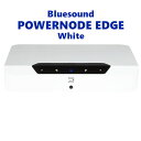 Bluesound POWERNODE EDGE zCg RpNgECXE~[WbN Xg[~OAv