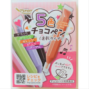 商品入替 5色チョコペンセット 速乾タイプ 10g×5色 賞味期限2023年12月4日