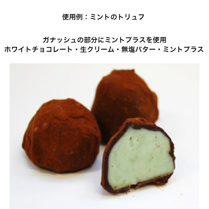 国産ミント葉使用 フレッシュ ミント プラス 500g 業務用 賞味期限2027年10月12日