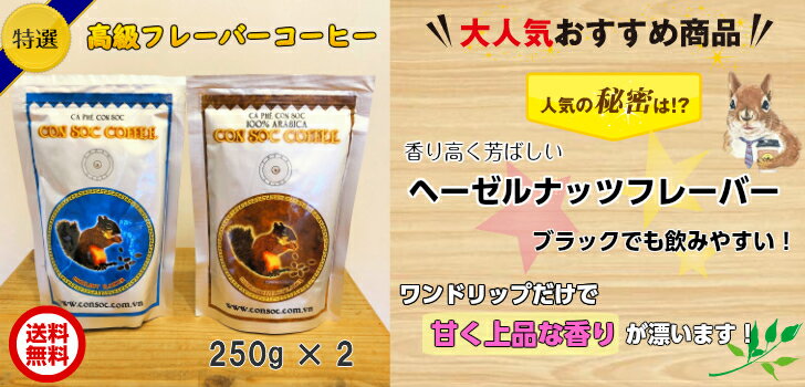 【送料無料2種】ベトナムコーヒー CONSOC COFFEE 中挽き (250gx2) 高級アラビカ ロブスタ ヘーゼルナッツフレーバー コンソック Arabica Robusta レギュラーコーヒー ドリップ粉