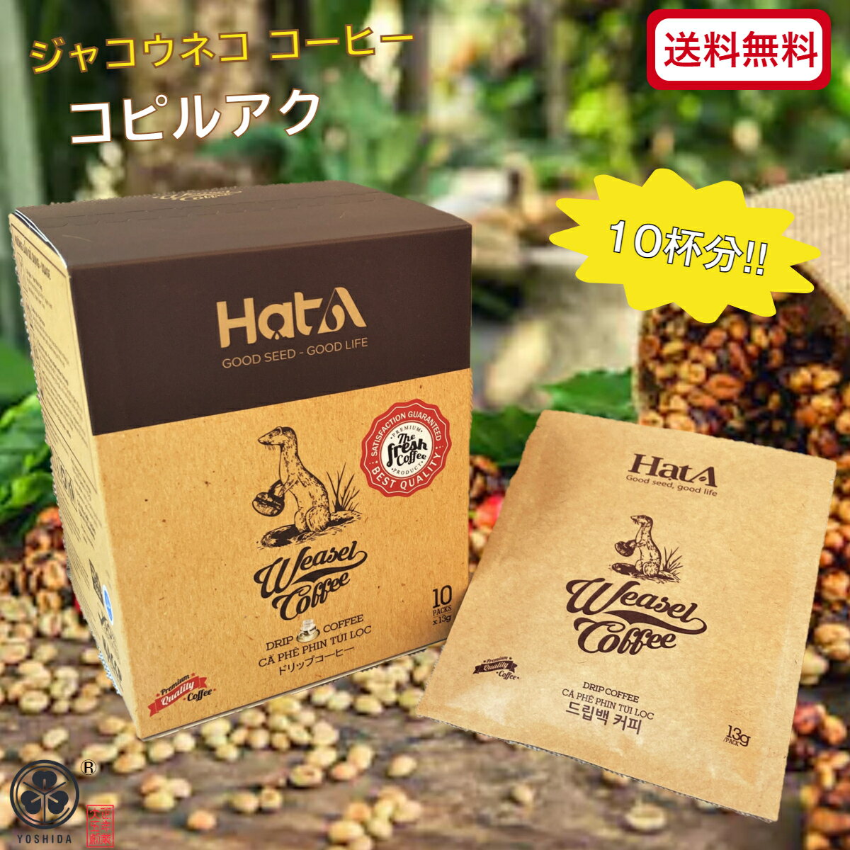  ジャコウネココーヒー（コピルアク）130g アラビカ ドリップバッグ(13gx10袋) 幻のコーヒー イタチコーヒー Arabica レギュラーコーヒー ギフト 贈答