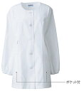 【即日発送可】KAZEN 白衣 女性調理衣白衣 丸衿長袖 胸元に気になりにくい丸首 740-30【】