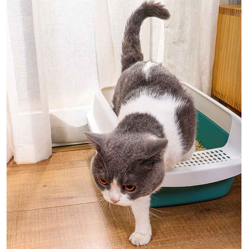 表地素材：プラスチック内部素材：プラスチックサイズ：30*36*17cm 35*52*19cm。猫用トイレはSとLの2つサイズがあります。大きな空間のトイレは猫ちゃんのニーズを満たすことができます。入り口が低いので、成猫はもちろん、子猫にも使える。漏れ止めのペダルは、猫の前足で砂が運び出されるのを防ぎ、床を清潔に保つことができます。猫トイレ本体の上蓋は少なくとも1/3の高さを増やしました。猫ちゃんは壁に向かってスプレーする習性があるので、ガードが高いトイレはスプレー対策に効果的です。シンプルな構造でお手入れもラクラク！丸洗い出来ていつでも清潔。毎日使うものだから、いつも清潔にしておきたいのがトイレです。洗った後は、完全に乾かしてからご利用下さい。オープントップのペット用トイレトレイを使用すると、猫の行動を簡単に監視し、空気循環を増やすことができます。臭いものがすぐ発散できるため、いつも猫トイレの衛生を保てる。 愛しい子ねこに思いやり設計。インテリアに馴染むカラーで、猫と過ごすおしゃれ空間を演出。 シンプルなデザインで置き場所も選ばず愛猫も出入りしやすく使い勝手がとても良さそうです。周りが囲まれているので、落ち着いて排泄できます。 ニオわない、キレイ続く猫用のシステムトイレ 。普段は専用スコップを使ってウンチはそのまま、おしっこは固まったらすくって取り除けばおしまいです。ウンチをした場合は早く取り除いてください。 シンプルな構造で掃除がしやすい。滑らかな内壁、シンプルな構造、お手入れが簡単な子猫用トイレパンを備えた猫用トイレ。移動が簡単で、再利用可能です。 水でさっと洗えるので掃除が楽になり。いつでも清潔に使用できます。洗った後は、完全に乾かしてからご利用下さい。 暖房器具等のそばに置いたり、熱湯をかけたりしない。人やペットのやけど、火災、製品の変形等の恐れがある。 本製品は猫トイレ本体のみですので、事前にご了承ください。 ディスプレイとライトの効果によって、物品の実際の色は画像に表示されている色と少し異なる可能性があります。 手動測定のため、2~5 cmの測定偏差を許容してください。ご理解ありがとうございます！ 大きい猫用トイレ 猫砂 自動トイレ用 猫用トイレ 完全密閉 猫用トイレ 可愛い 猫用トイレ本体 シンプルタイプ ライトベージュ 成猫用 上から猫トイレシステムタイプ 猫トイレ おしゃれ 猫トイレ 猫用トイレシート 猫用トイレ本体 猫用トイレマット 猫用トイレ砂 猫用トイレ ドーム 猫用トイレ フルカバー 猫用トイレ カバー 猫用トイレ 猫用トイレ 猫用トイレ本体 掃除簡単 お出かけ用 猫トイレ ニャンとも清潔トイレ 脱臭 抗菌シート 猫用システムトイレシート システムトイレ用 猫 トイレ 小さめ 成猫用 猫用トイレ 小さめ 猫用トイレ システム 猫用トイレ カバー 猫用ケージ トイレ付き 脱臭 大容量 大きめの粒 システムトイレ用 猫用けーじトイレ付き 猫用トイレ 黒 猫トイレくずれる砂用 猫用トイレ 猫用けーじトイレ付き 大きめ 猫用トイレ 完全密閉 猫用トイレ シート 猫用トイレ 普通トイレ兼用 猫用トイレ 砂飛び散らない 組み立てしやすい ステンレス 猫用トイレ スコップ 猫用トイレ 掃除 猫用トイレ 縦型 コンパクト 大きい猫用トイレ